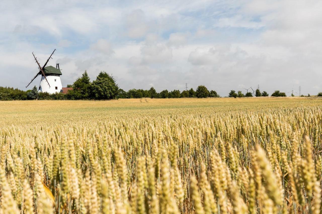 Windmill Vacation Home In Ledzin Near Baltic Sea Niechorze Exterior foto